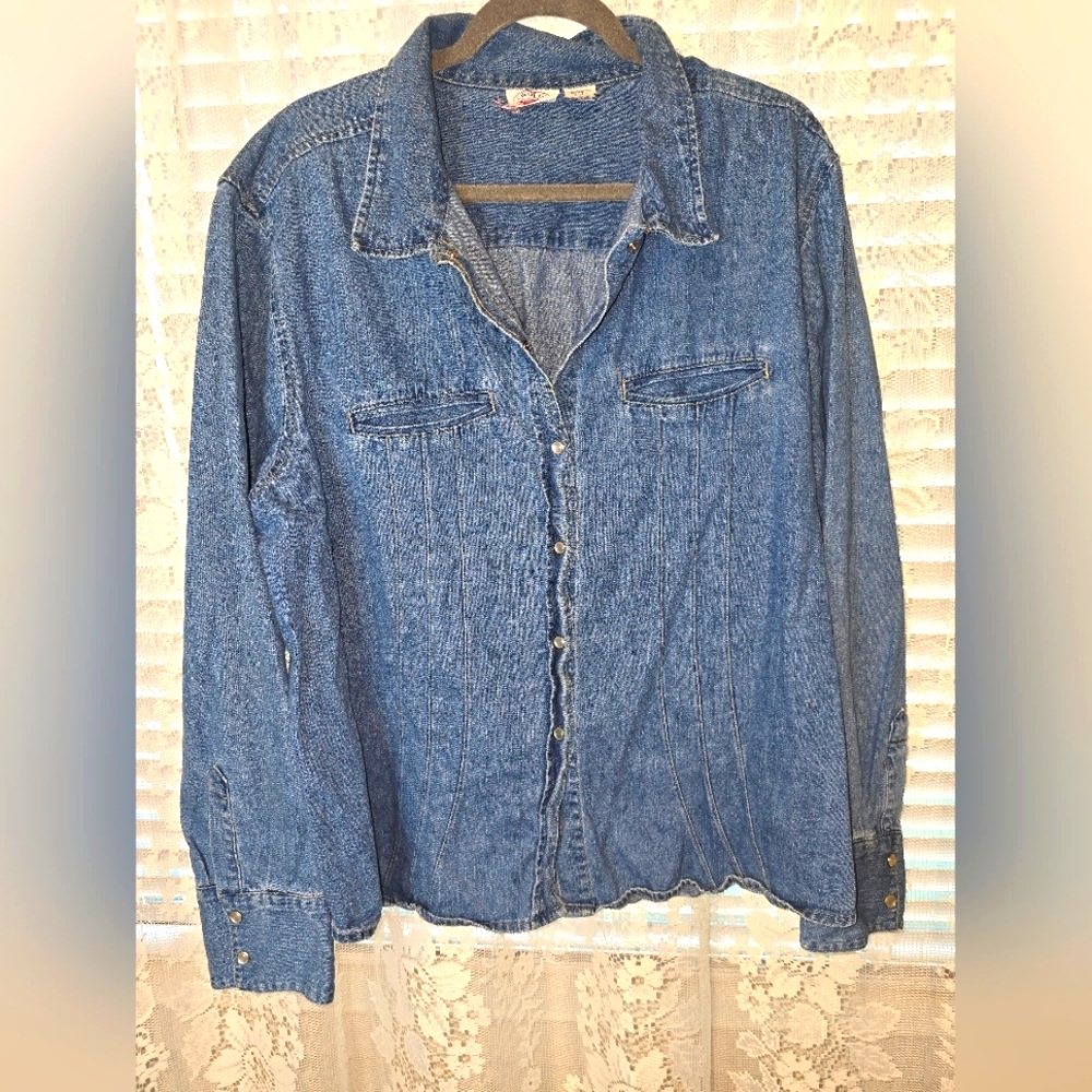 Vintage Carolina Blues, Plus, Denim Longsleeve, Pearl Snap Button Down, Womens